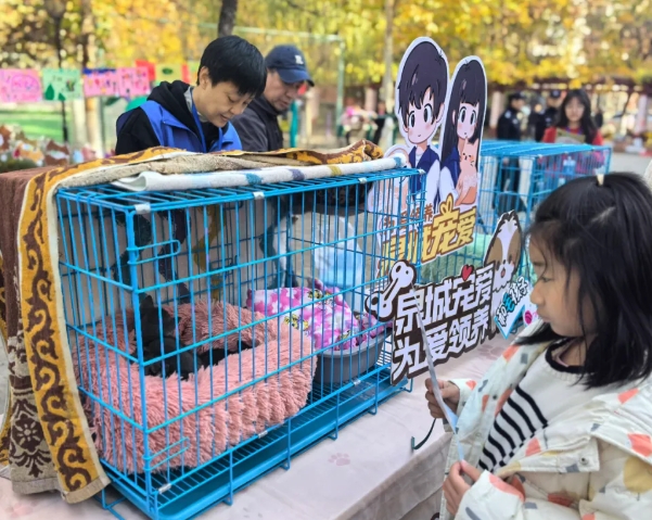 文明養(yǎng)寵，寵愛(ài)有方！魯商服務(wù)萌寵生活節(jié)圓滿落幕
