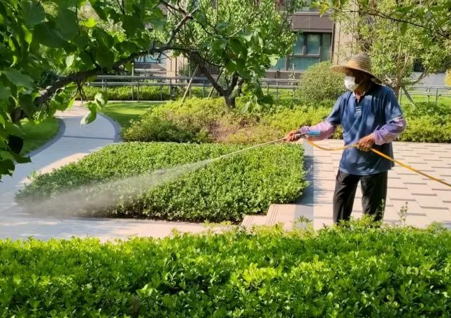 魯商服務(wù)全面開(kāi)展專(zhuān)項(xiàng)消殺行動(dòng)，筑牢社區(qū)健康防線(xiàn)